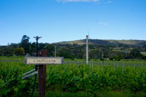 freycinet national park accommodation