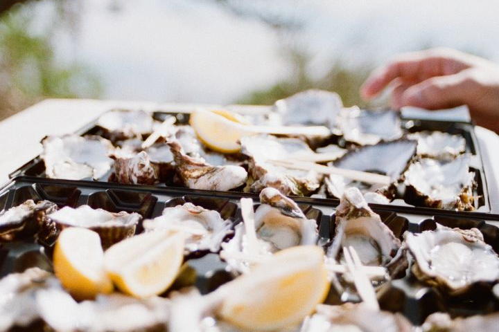 Fresh oysters platter