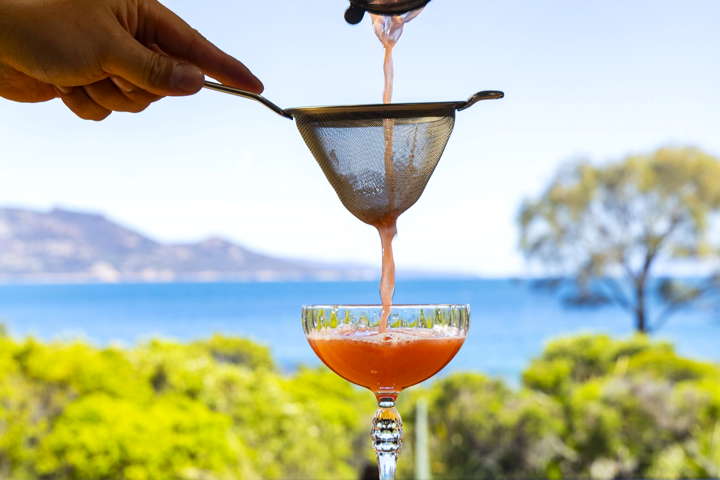 Drink at Edge of the Bay