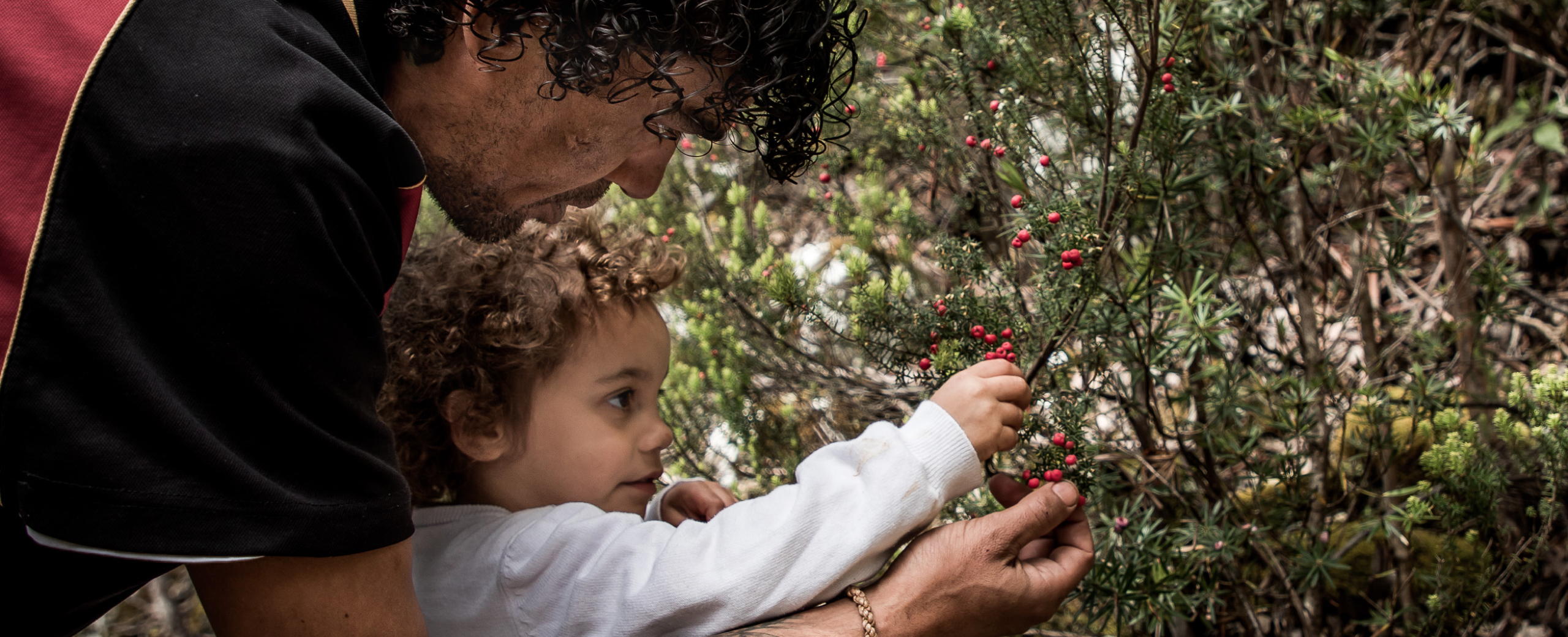 Palawa Paths tour at Edge of the Bay