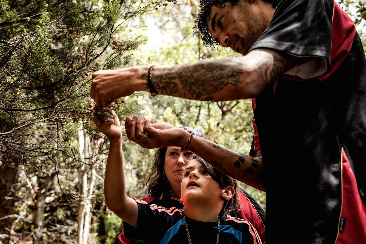 Palawa Paths and Bush Tucker Tour at Edge of the Bay